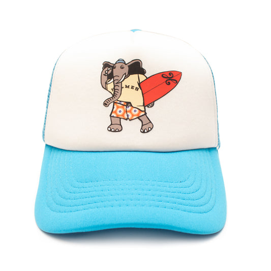 Elephant Surf Cap