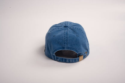 Seagull Cap