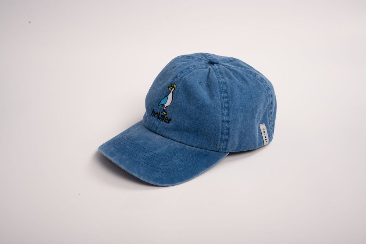 Seagull Cap